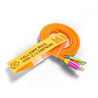 Calliope mini v3 Kabel USB-C - Lightning (10-er Paket)